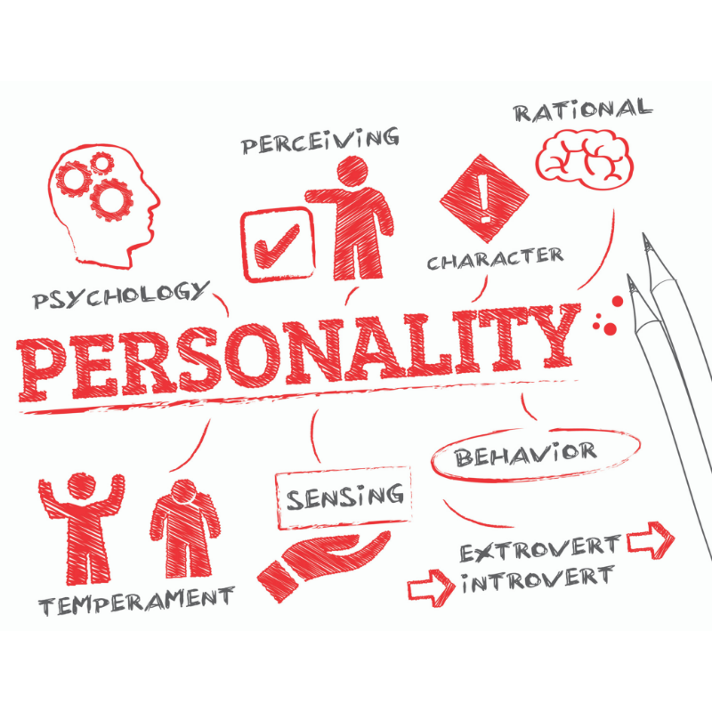 The Dos and Don'ts of Personality Testing - isv.online